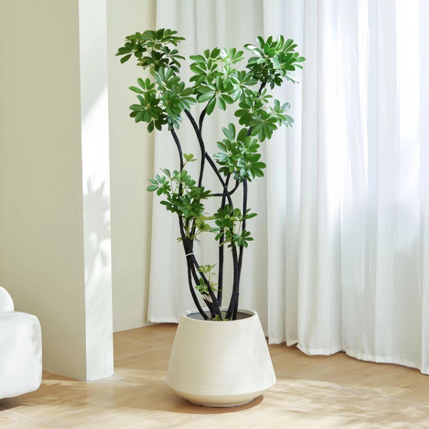 1762416562549300.jpg 1752134869294248.jpg