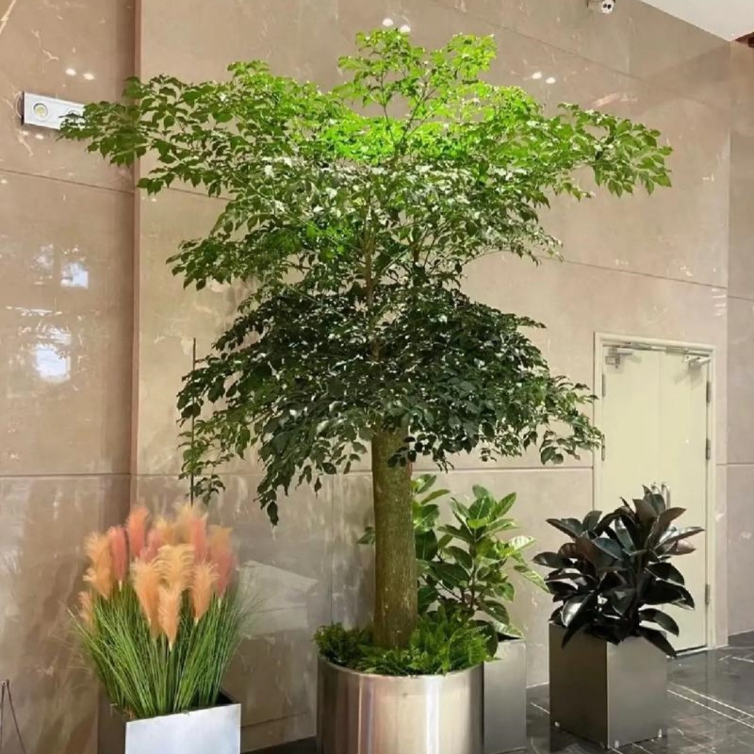 1762498276111323.jpg 微信图片_20251107142548_704_8.jpg