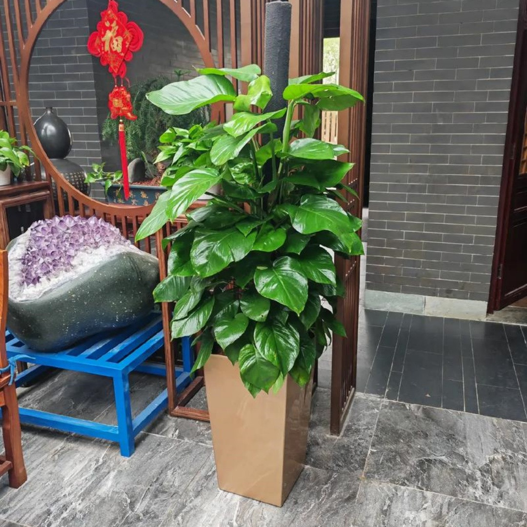 1762498312788084.jpg 微信图片_20251107142630_706_8.jpg