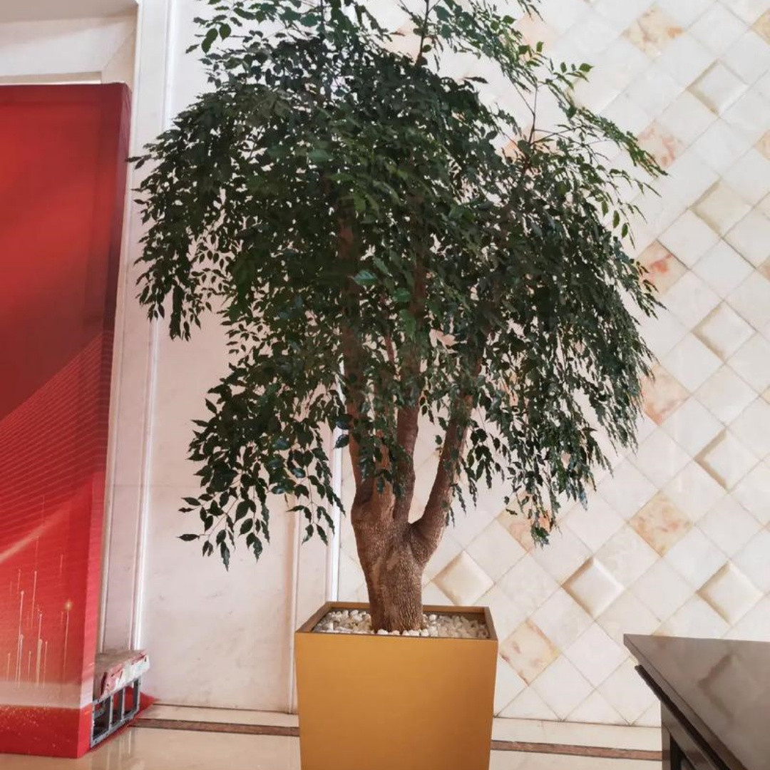 1762498400776465.jpg 微信图片_20251107142644_708_8.jpg