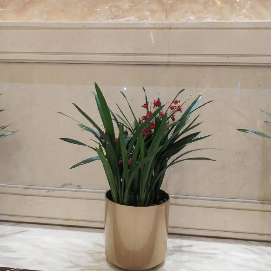 1762498451149191.jpg 微信图片_20251107142726_711_8.jpg