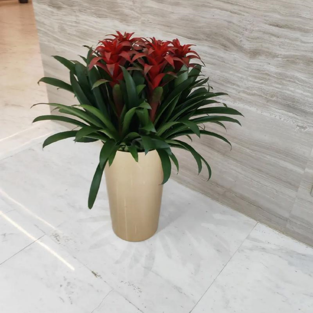 1762572896127503.jpg 微信图片_20251107142827_715_8.jpg