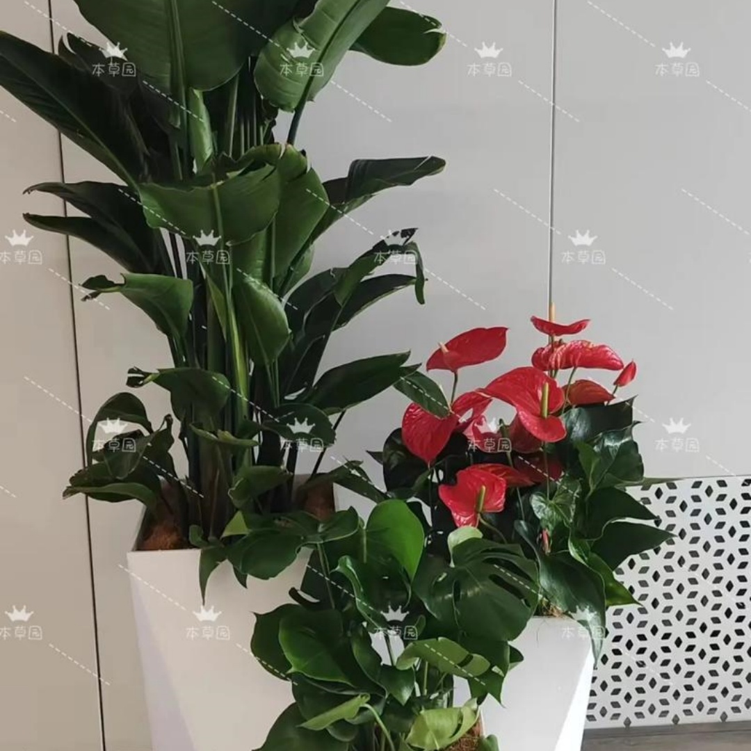 1772852854263956.jpg 微信图片_20251107143024_722_8.jpg