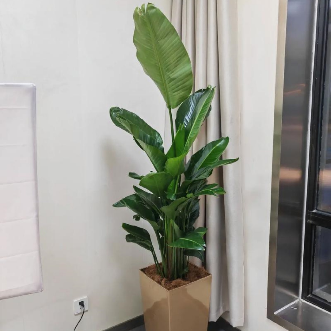 1772853242517672.jpg 微信图片_20251107142756_713_8.jpg