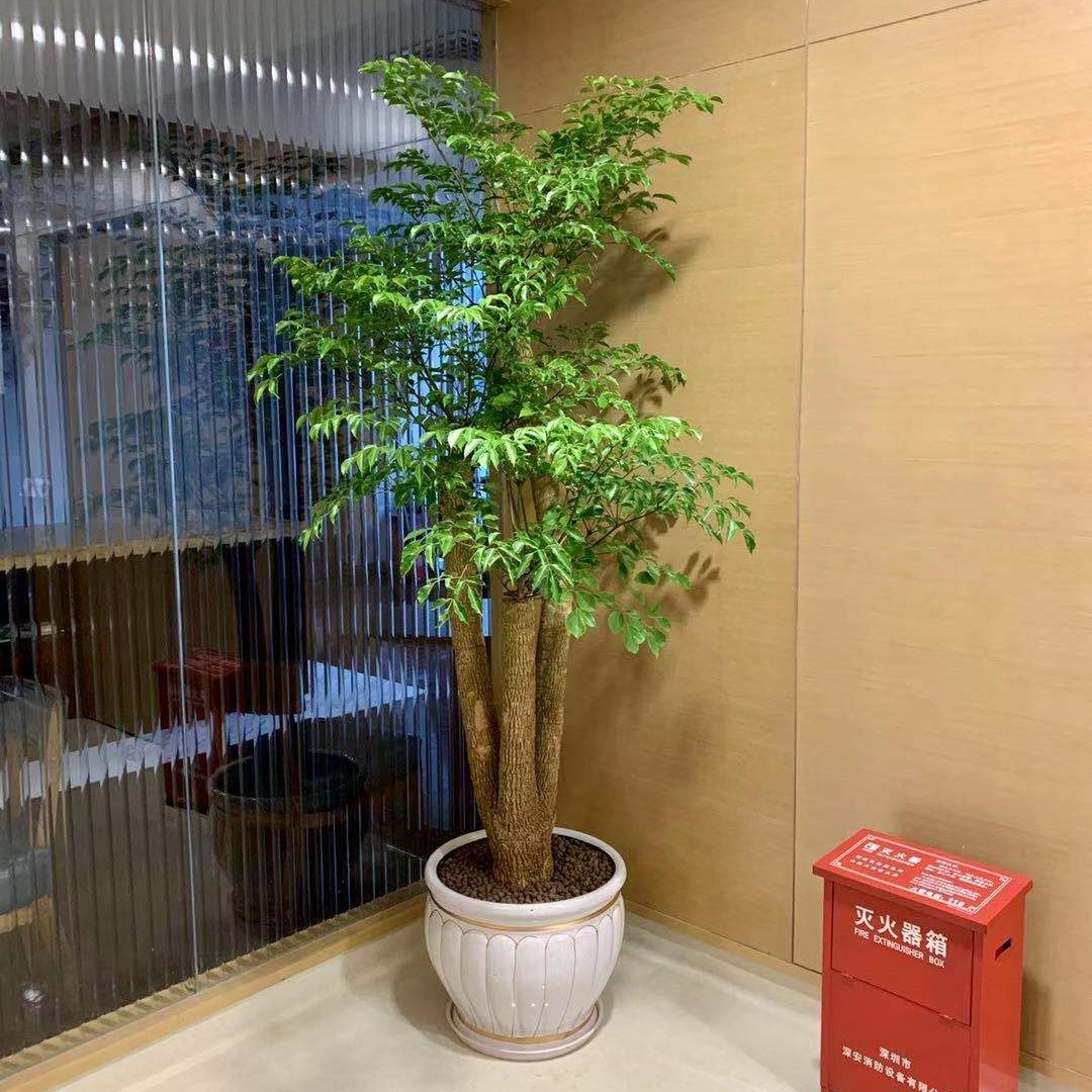 1773372622139857.jpg 微信图片_20251107143129_727_8.jpg