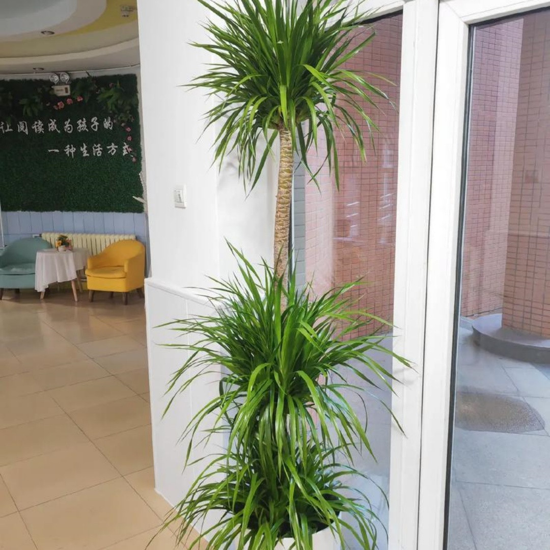 1773372690121104.jpg 微信图片_20251107142636_707_8.jpg